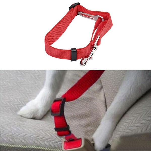 Furry-friend's Car Safe Belt