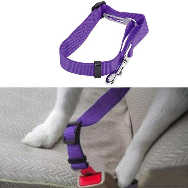 Furry-friend's Car Safe Belt